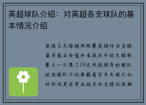 英超球队介绍:对英超各支球队的基本情况介绍