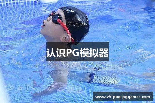 认识PG模拟器